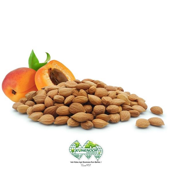 Apricot Dried