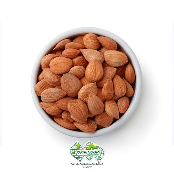 Apricot Kernels — Shelled raw kernels