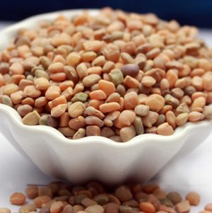 Guar Seeds