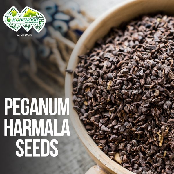 Harmal Seeds — Syrian Rue