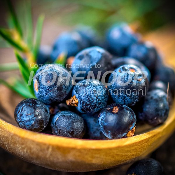 Juniper Berries