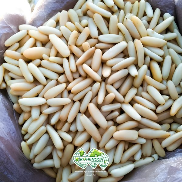 Pinenuts Kernels EU Grade